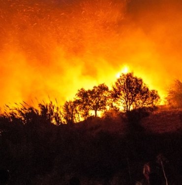 Meksika’nın 15 eyaletinde 58 orman yangını