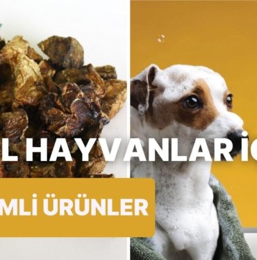 Mamasından Bakımına Patili Dostunuzun İhtiyaç Duyacağı İndirimli Ürünler