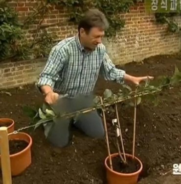 Kuzey Kore televizyonundan kot pantolona sansür