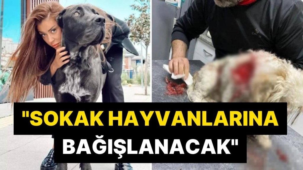 Banu Parlak’ın Köpeği, Yavru Bir Köpeği Öldürmüştü: ‘Leo’nun Tazminatı Sokak Hayvanlarına Bağışlanacak’