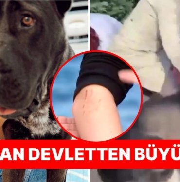 Banu Parlak’ın Köpeği Tarafından Saldırıya Uğrayan Kardeşlerden Aramızda Kalmasın Programında Şok İtiraflar!