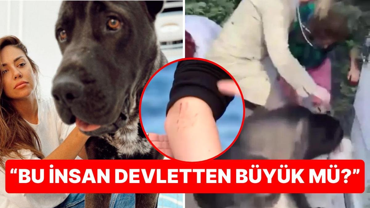 Banu Parlak’ın Köpeği Tarafından Saldırıya Uğrayan Kardeşlerden Aramızda Kalmasın Programında Şok İtiraflar!