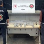 Gümrükte 142 milyon liralık uyuşturucu ve kaçak eşya yakalandı