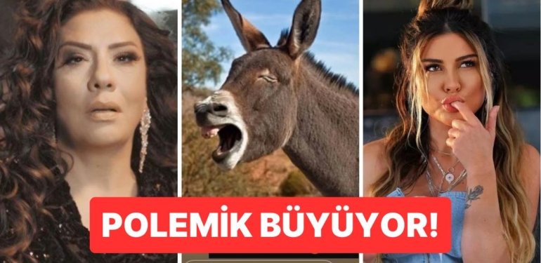 Tartışma Daha da Alevleniyor: Işın Karaca ve Selen Görgüzel Arasında “Eşek” Kaosu Patladı!