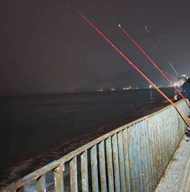 Konyaaltı Sahil’de balık popülasyonu düştü | Uzmanından resif uyarısı geldi