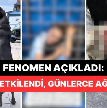 Banu Parlak Tasmasız Gezdirdiği İçin Başka Bir Köpeğin Ölümüne Yol Açan Köpeği Drogo’nun Son Halini Paylaştı