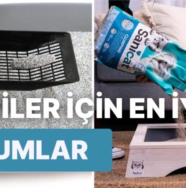 Sevimli Dostu İçin En İyisini Düşünenlerin Tercih Ettiği Kedi Kumu Tavsiyeleri