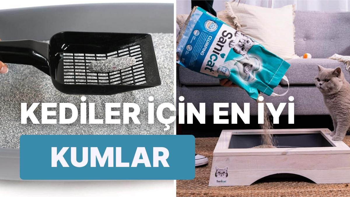 Sevimli Dostu İçin En İyisini Düşünenlerin Tercih Ettiği Kedi Kumu Tavsiyeleri