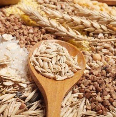 Güneydoğu’nun hububat ihtacatında 836 milyon dolar geçildi