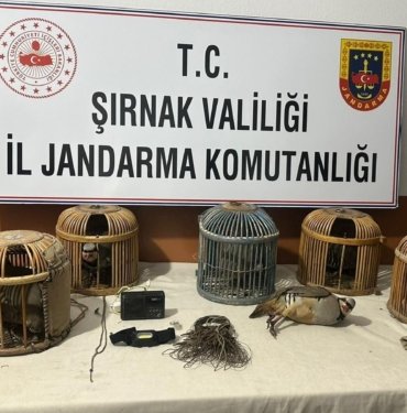Keklik avcılarına 67 bin lira ceza