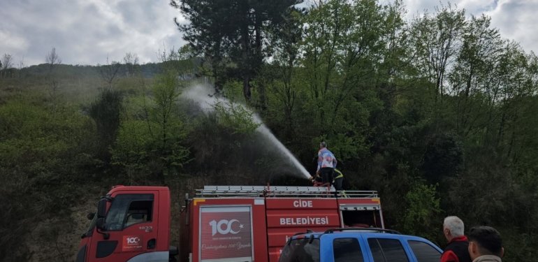 Kastamonu’da orman yangını