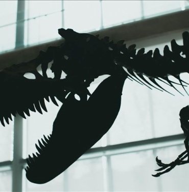 Dinozorlar Çağı’nda yaşamış dev deniz sürüngeni türü keşfedildi