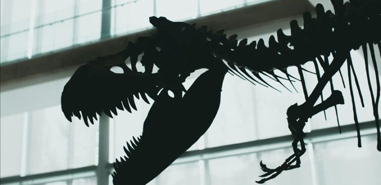 Dinozorlar Çağı’nda yaşamış dev deniz sürüngeni türü keşfedildi