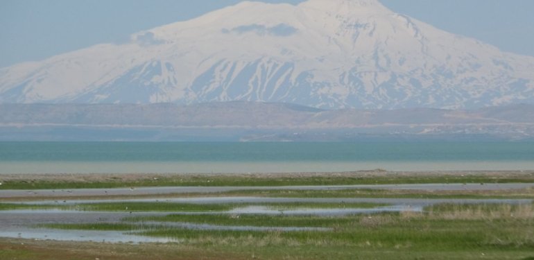 Van Gölü’nden sevindiren haber