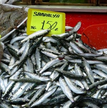 Av yasağı balık fiyatlarını vurdu