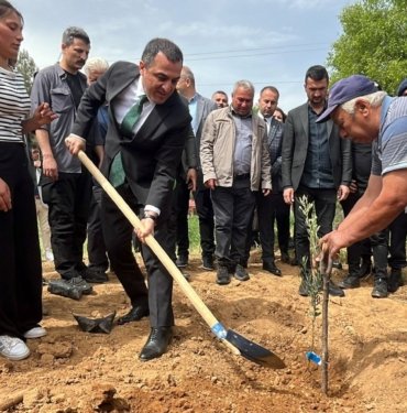 Burdur’da çiftçiler zeytine yöneldi