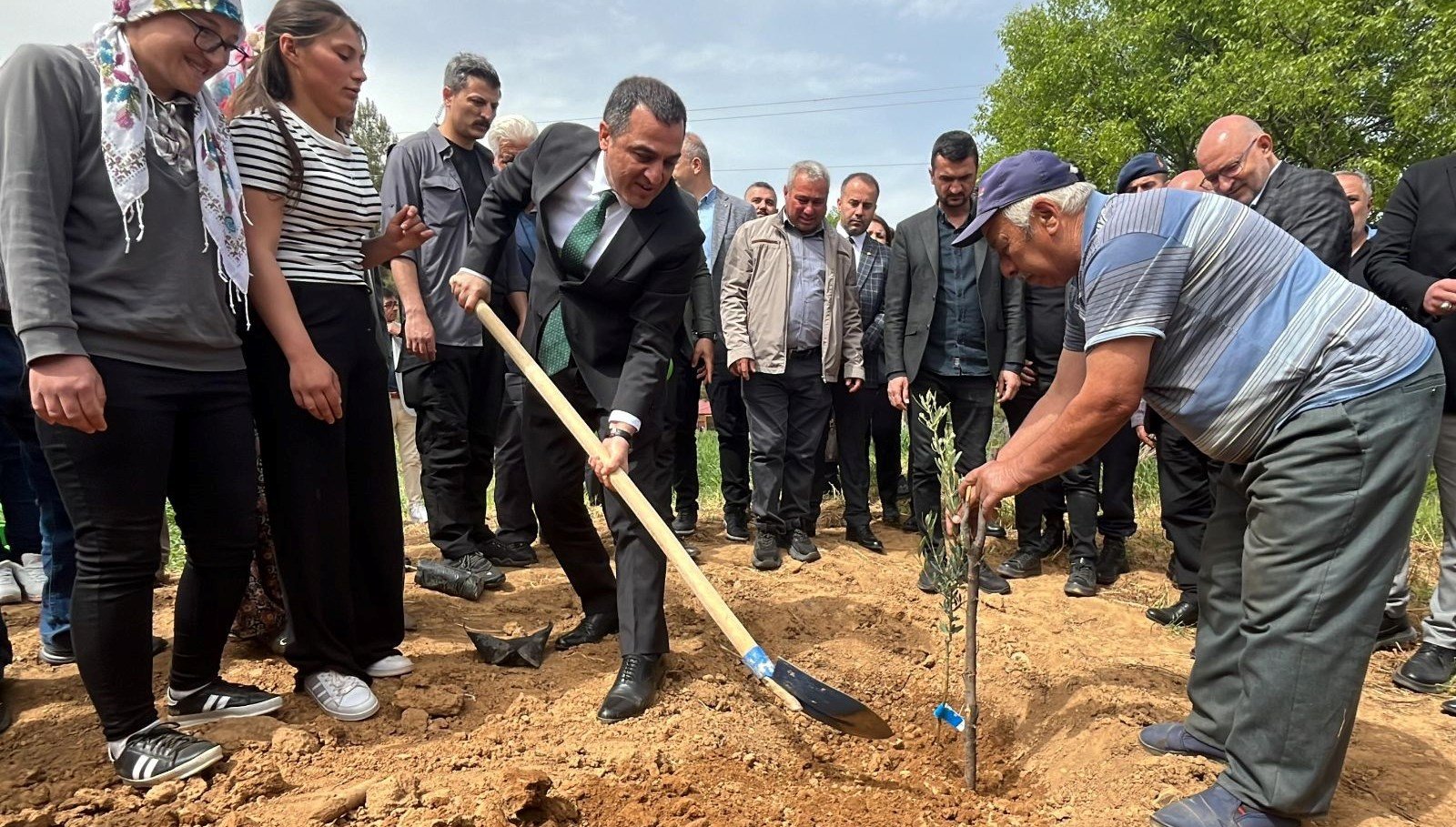 Burdur’da çiftçiler zeytine yöneldi
