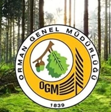 Orman Genel Müdürlüğü’ne 64 geçici işçi alınacak (OGM işçi alımı başvuru tarihleri ve şartları)