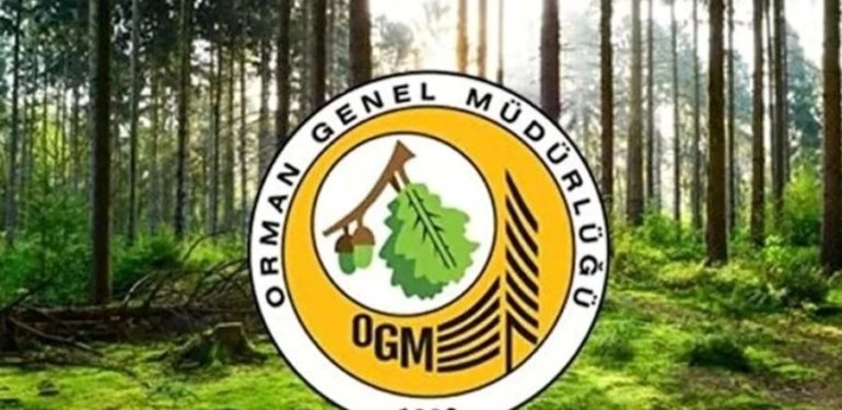 Orman Genel Müdürlüğü’ne 64 geçici işçi alınacak (OGM işçi alımı başvuru tarihleri ve şartları)