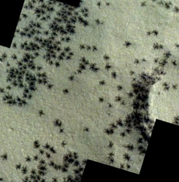 Mars zemininde, örümceğe benzeyen madde toplulukları gözlemlendi