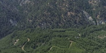 Hatay’da ormanlık alanlara girişler 1 Mayıs’tan itibaren yasaklandı