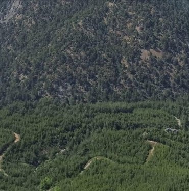 Hatay’da ormanlık alanlara girişler 1 Mayıs’tan itibaren yasaklandı