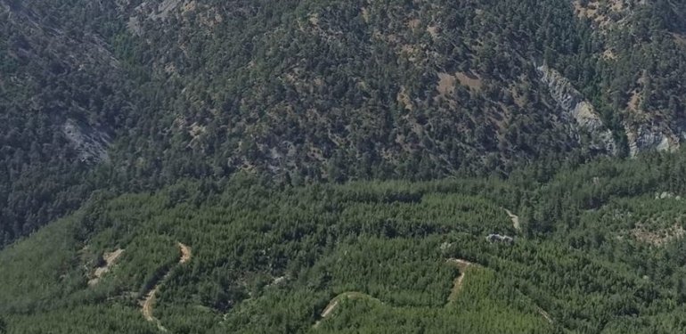 Hatay’da ormanlık alanlara girişler 1 Mayıs’tan itibaren yasaklandı