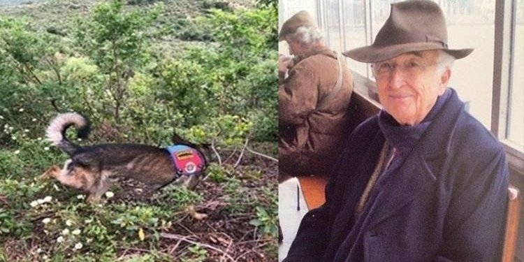 Korhan Berzeg’in kaybında son durum: Korhan Berzeg kimdir, bulundu mu?