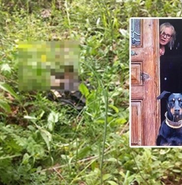 Kadavra köpekleriyle çalışmalar sürüyor: Korhan Berzeg’in kahverengi cüzdanından neler çıktı?