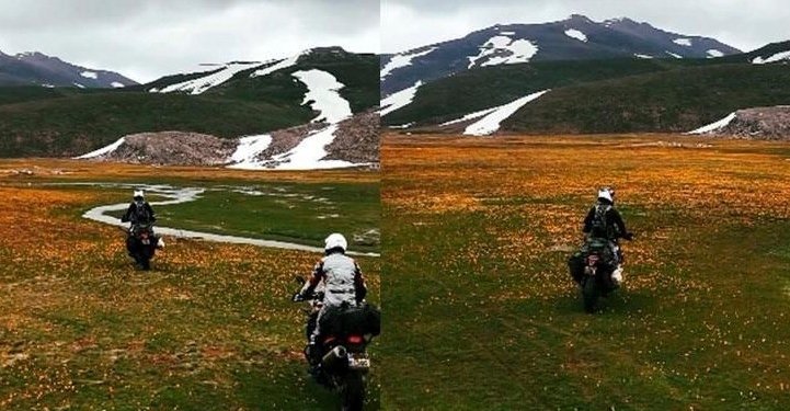 Tepki çeken görüntü: Endemik çiçekleri motosikletle ezdiler