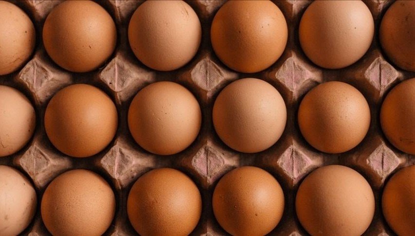 Yumurta fiyatları “mayıs çukuru”na yuvarlandı