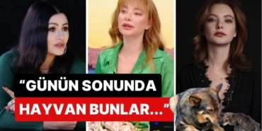 Deniz Çakır “İlk Beni Uyutun” Demişti: Sedef Şahin’in Sokak Hayvanlarıyla İlgili Söylemi Dikkat Çekti!