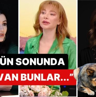 Deniz Çakır “İlk Beni Uyutun” Demişti: Sedef Şahin’in Sokak Hayvanlarıyla İlgili Söylemi Dikkat Çekti!
