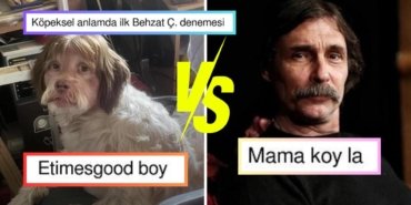 Twitter Kullanıcıları Tatlı mı Tatlı Köpeği Ünlü Oyuncu Erdal Beşikçioğlu’na Benzetince Olanlar Oldu!