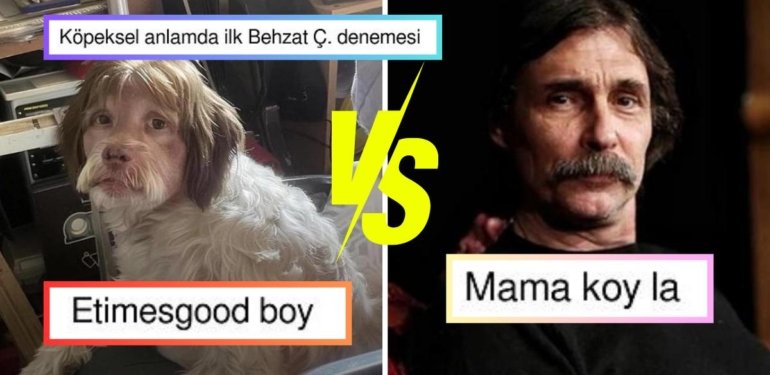 Twitter Kullanıcıları Tatlı mı Tatlı Köpeği Ünlü Oyuncu Erdal Beşikçioğlu’na Benzetince Olanlar Oldu!