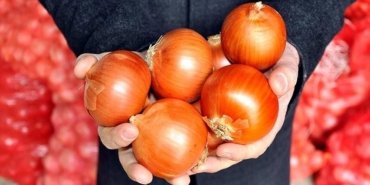 Markette en çok kuru soğan fiyatı arttı
