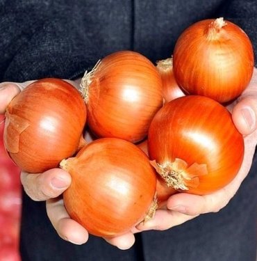Markette en çok kuru soğan fiyatı arttı