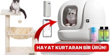 İndirimli Alışveriş Sırası Onlarda: Patili Dostunuzun Severek Kullanacağı Fırsat Dolu Ürünler