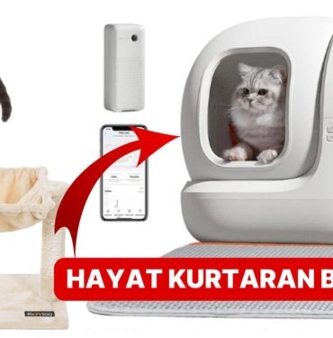 İndirimli Alışveriş Sırası Onlarda: Patili Dostunuzun Severek Kullanacağı Fırsat Dolu Ürünler