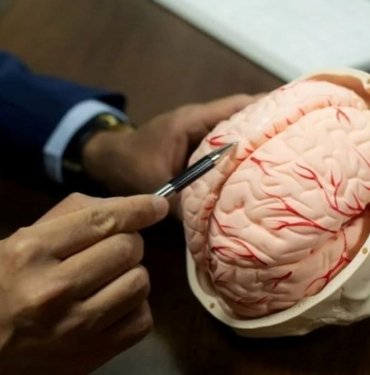 Lobotomi nedir, ne için kullanılır? Lobotomi uygulamasının tarihi