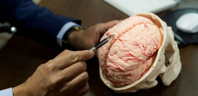 Lobotomi nedir, ne için kullanılır? Lobotomi uygulamasının tarihi