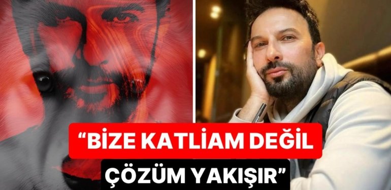 Belediyelere Seslendi: Tarkan’dan Sokak Hayvanlarına Yönelik Öldürme Sözlerine Tepki Geldi!