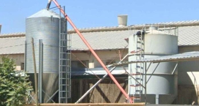 Tavuk çiftliğinde feci ölüm