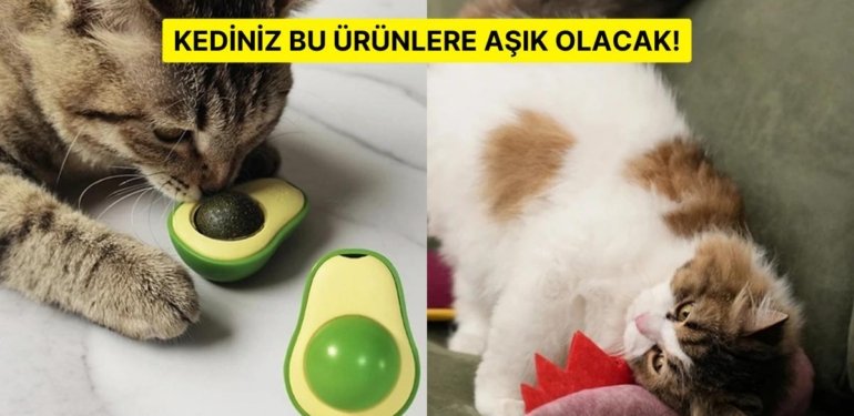 Kedisi Olanların Mutlaka Göz Atması Gereken En Sevilen Kedi Ürünleri