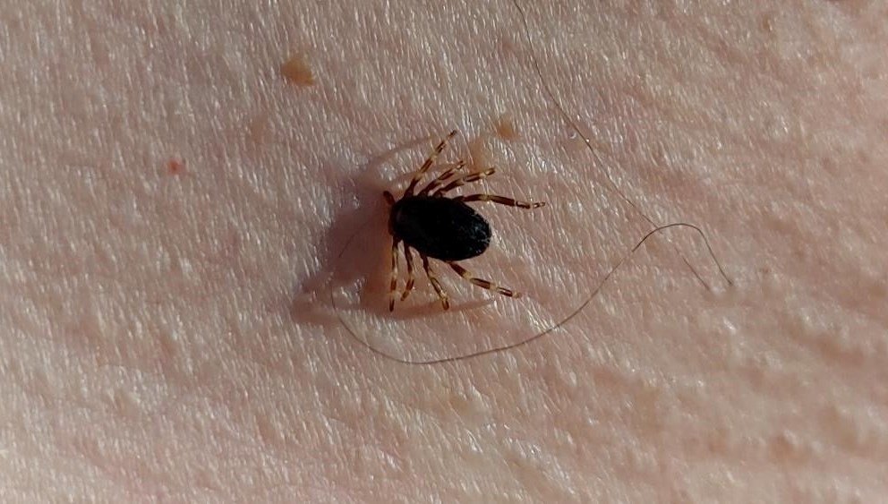 İran’da KKKA’dan 1 kişi hayatını kaybetti