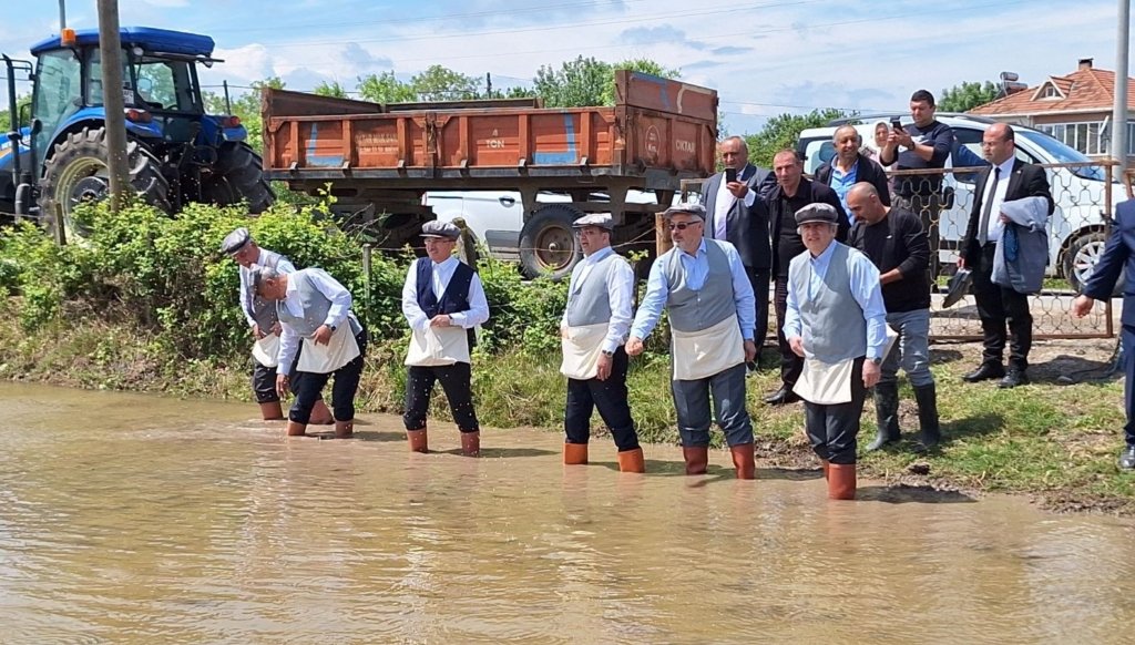 Bafra Ovası’nda çeltik ekimi başladı