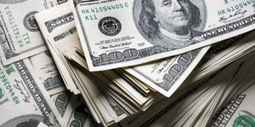Merkez Bankası’nın rekor döviz alımları sürüyor