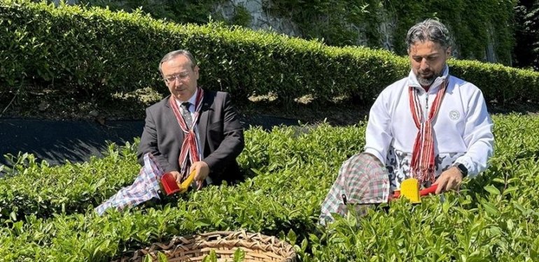 Çaykur işçi alımı kura sonuçları açıklandı (ÇAYKUR 2024 yılı mevsimlik işçi kura listesi)