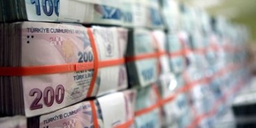 Türk Lirası cinsi varlıklar pozitif dönem