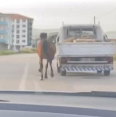 Bursa’da tepki çeken görüntü: Atları aracın arkasına bağlayıp koşturdu